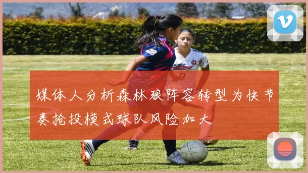 媒体人分析森林狼阵容转型为快节奏抢投模式球队风险加大