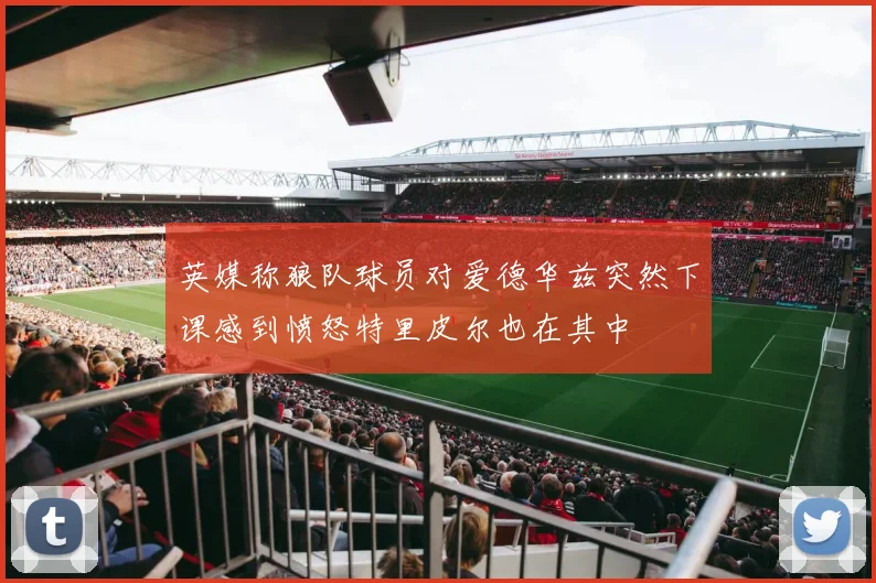 英媒称狼队球员对爱德华兹突然下课感到愤怒特里皮尔也在其中